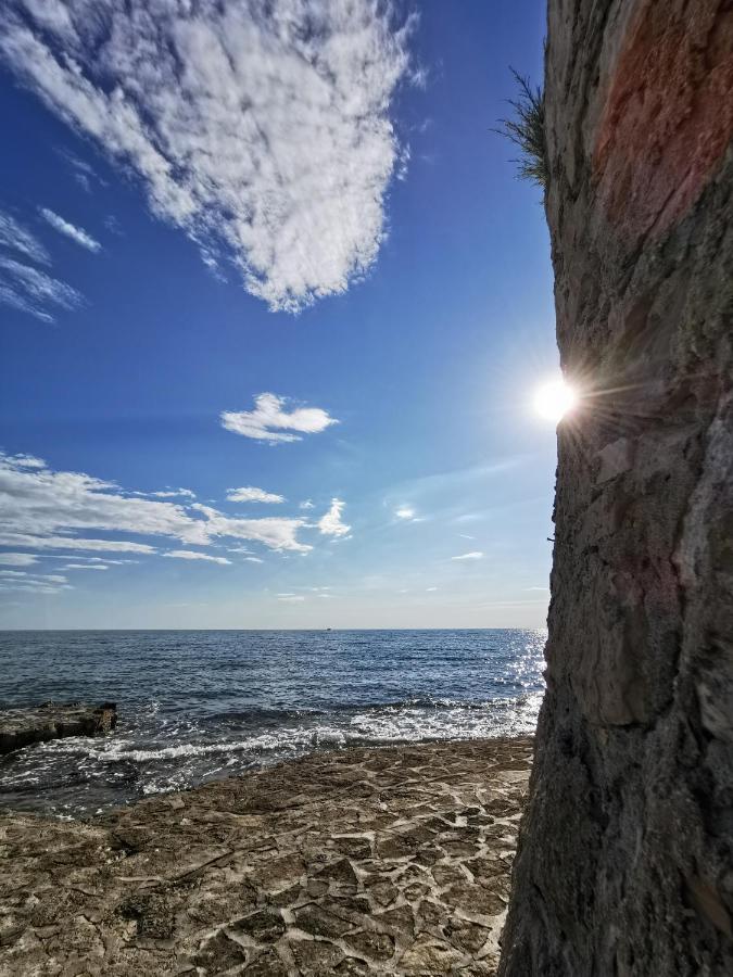 Lora Deluxe Superior 5 Star Apartment, Your Piece Of Heaven By The Sea & Park With Sea & Park View Novigrad Istria Eksteriør bilde