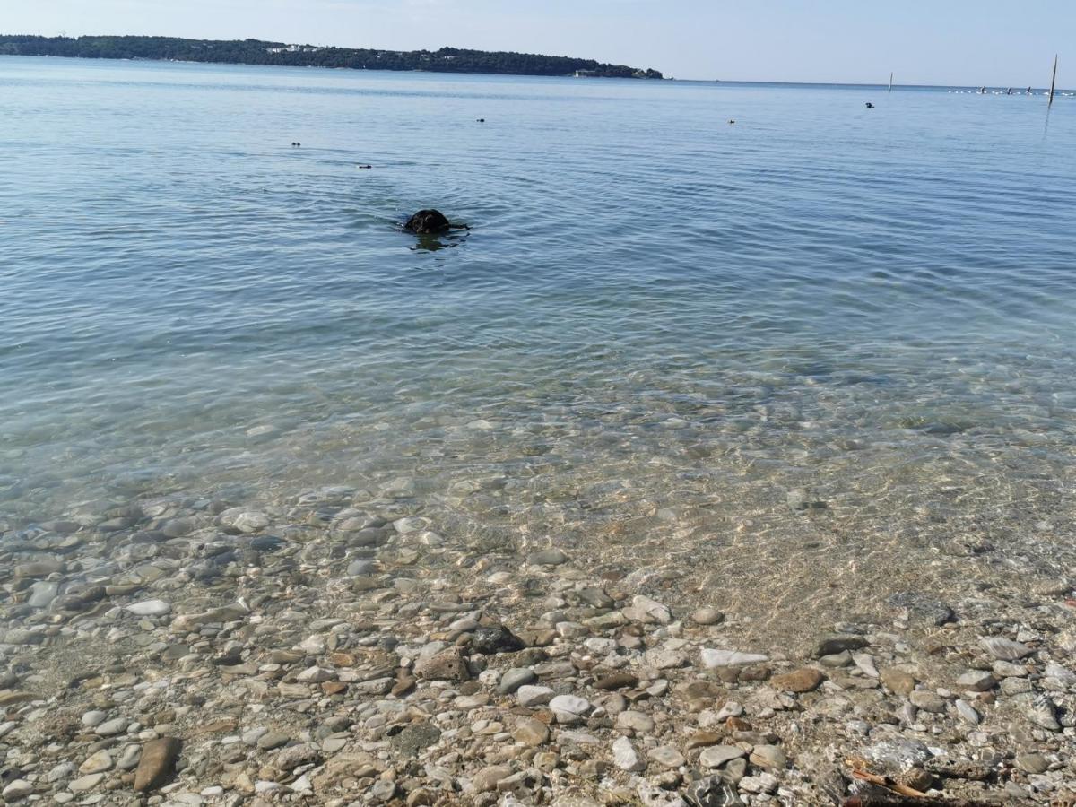 Lora Deluxe Superior 5 Star Apartment, Your Piece Of Heaven By The Sea & Park With Sea & Park View Novigrad Istria Eksteriør bilde