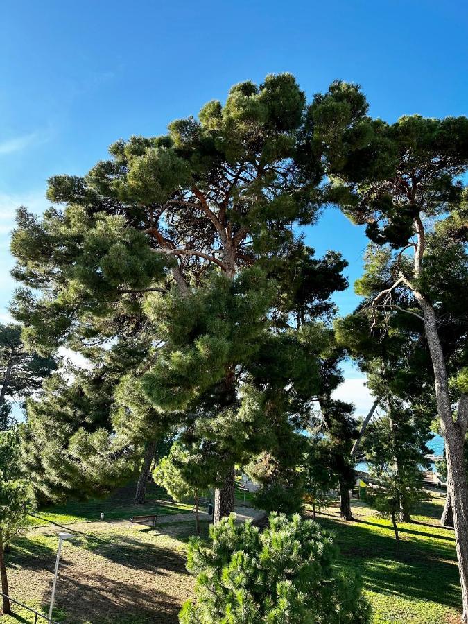 Lora Deluxe Superior 5 Star Apartment, Your Piece Of Heaven By The Sea & Park With Sea & Park View Novigrad Istria Eksteriør bilde